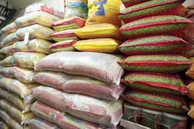 قیمت منطقی برنج 8000 تومان/ دلالان مقصر گرانی