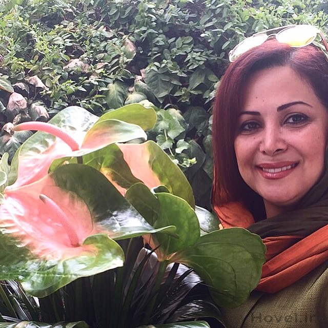 عکس کمند اميرسليماني در کنار گل و گياه! + تصاوير
