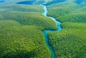 جنگل آمازون ، یکی از عجایب هفتگانه جهان + تصاویر