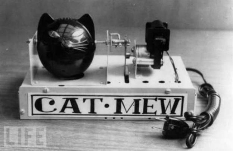 دستگاه میوی گربه! این دستگاه ژاپنی هر چند دقیقه یکبار برای فراری دادن موشها، صدای گربه می دهد - سال 19