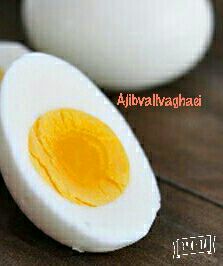 تخم مرغ مصنوعی