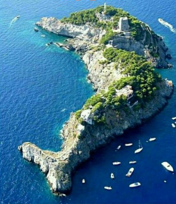 عکس جزیره Li Galli در ایتالیا که شبیه یک دلفین است..