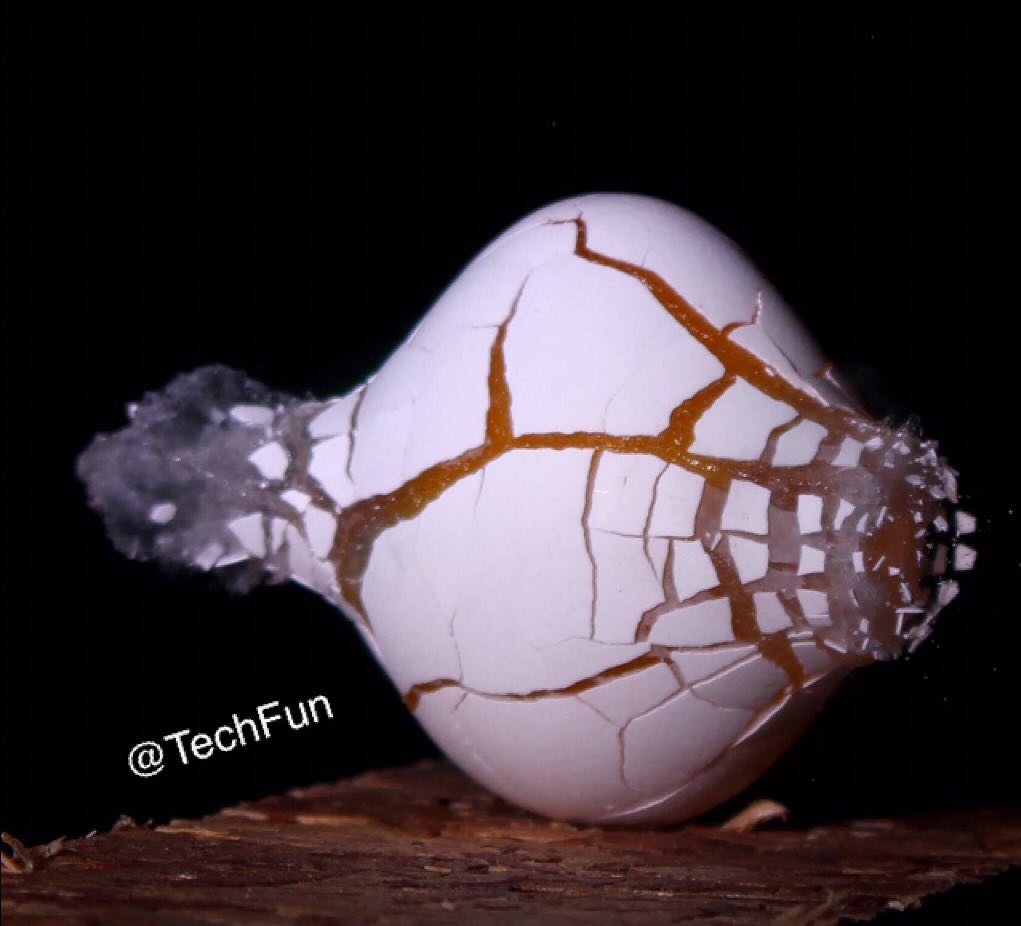 تصویر زیبای تخم مرغی که با گلوله بهش شلیک شده