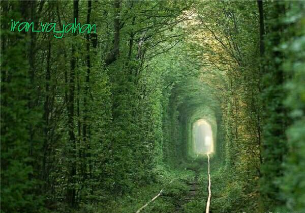 عکس راه آهن اوکراین در سه کیلومتر در نزدیکی کلوان به تدریج به شکل یک تونل از گیاهان سبز در آمده که  ب