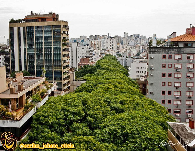 زیباترین خیابان دنیا بنام Rua Goncalo de Carvalho در شهر بندری پورتو الگره در برزیل