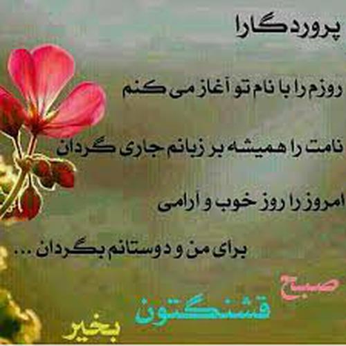 دانلود عکس صبح بخیر چهارشنبه