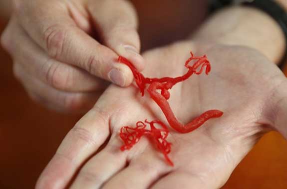 ساخت رگ‌های خونی با پرینتر سه بعدی