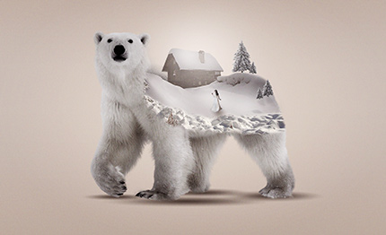 اموزش مونتاژ تصویر خرس با خانه در فتوشاپ