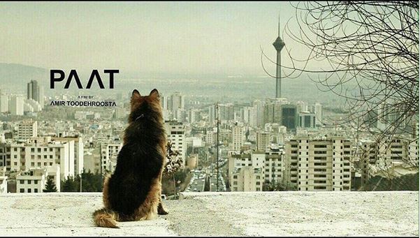 دانلود فیلم جدید ایرانی پات