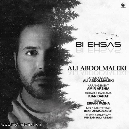 دانلود  آهنگ جدید علی عبدالمالکی بنام بی احساس+متن