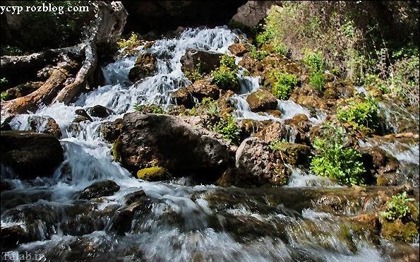 آب این آبشار زیبای ایرانی ملخ ها را ریشه کن میکند