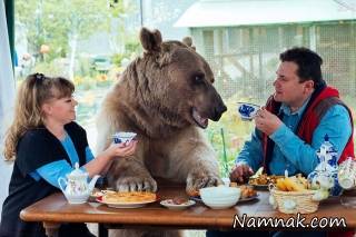 زندگی زوج روسی با یک خرس ! + عکس