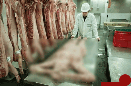 فروش گوشت انسان توسط چین در کنسرو
