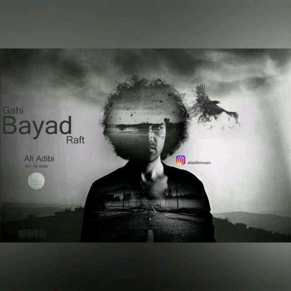 Ali Adibi - Gahi Bayad Raft 