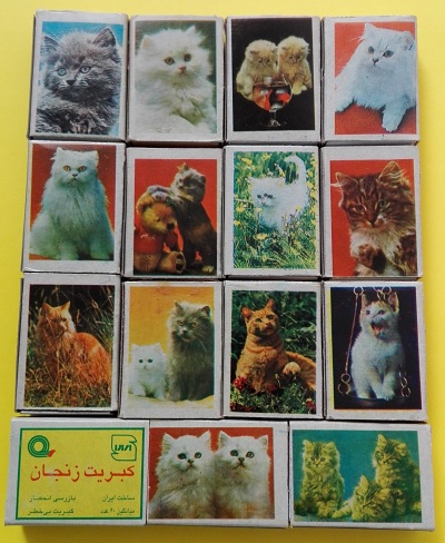 گربه (5).jpg (400×488)