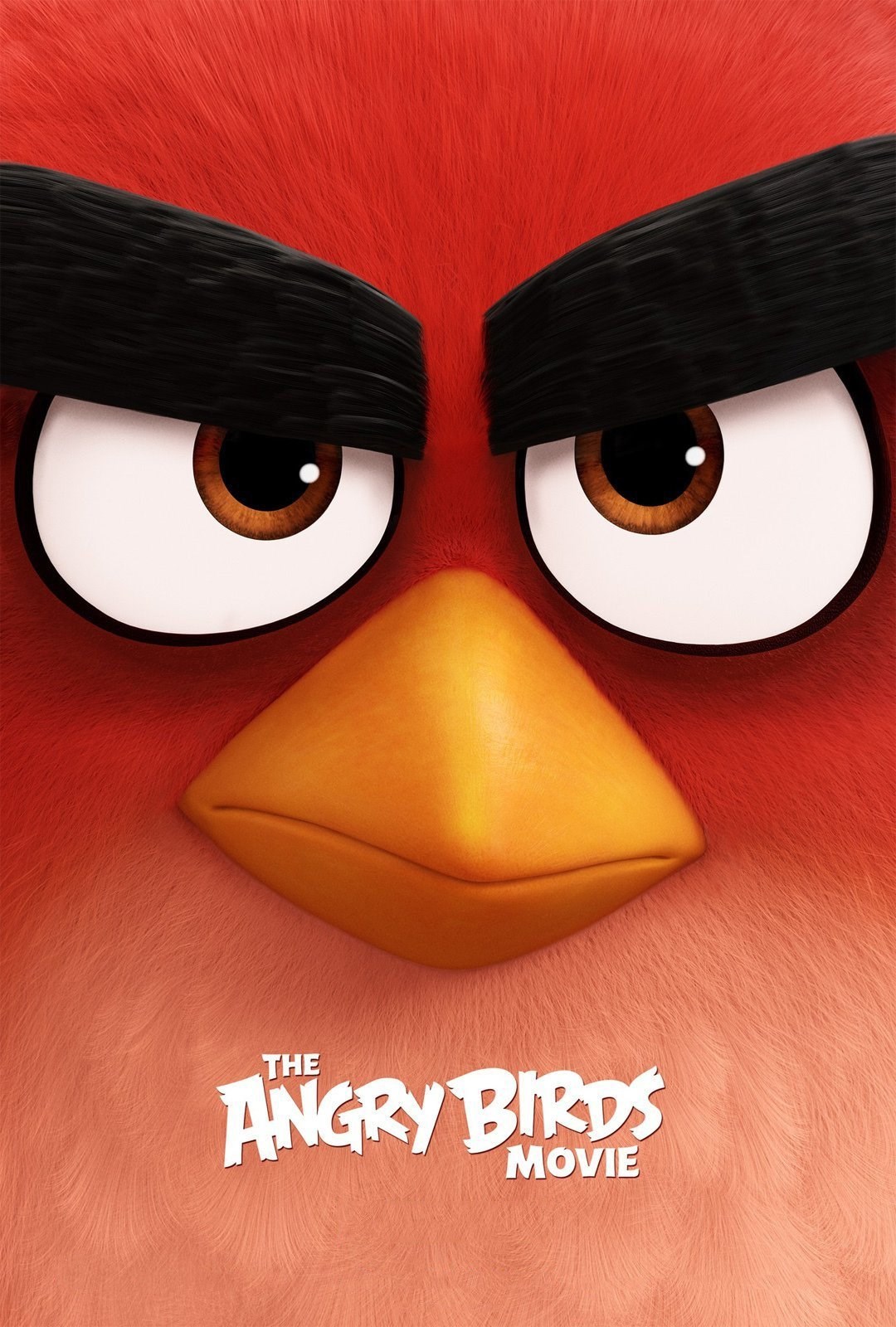 دانلود انیمیشن angry-birds