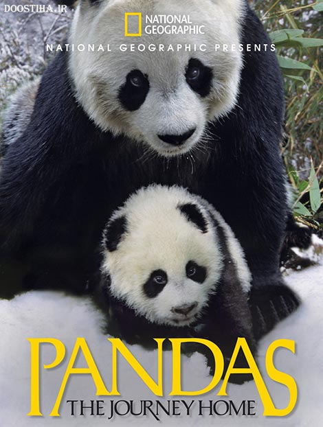 دانلود دوبله فارسی مستند Pandas: The Journey Home 2014