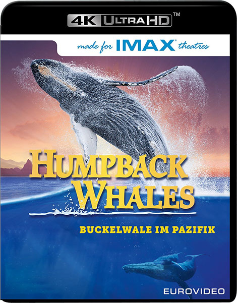 دانلود مستند نهنگ‌های کوهان‌دار Humpback Whales 2015