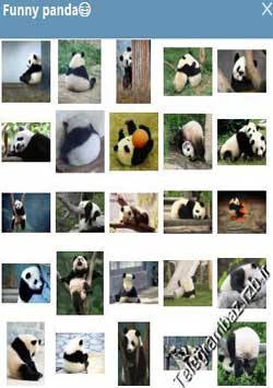 استیکر تلگرام Funny panda