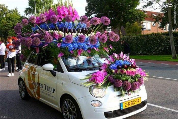 تصاویر دیدنی از فستیوال ماشین عروس در هلند