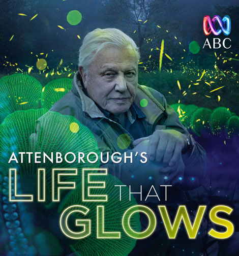 دانلود مستند Attenborough’s Life That Glows 2016
