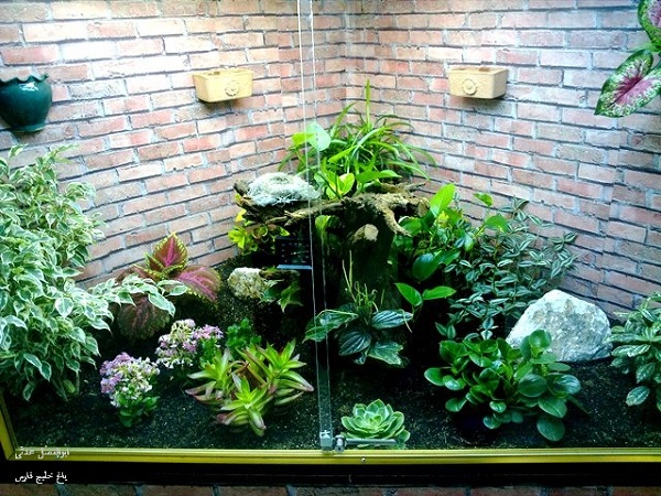 ساخت تراریوم، باغ شیشه‌ای کوچک در دکوراسیون منزل