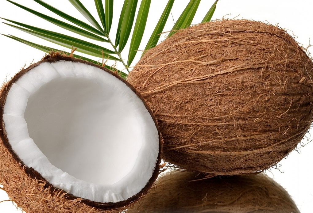 خواص گیاهان/Coconut نارگيل