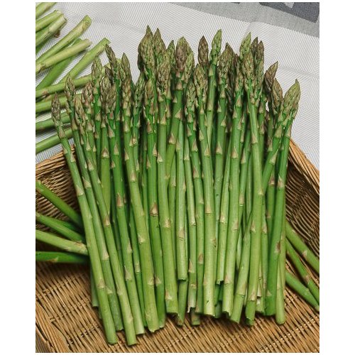 گیاهان دارویی/Asparagus مارچوبه