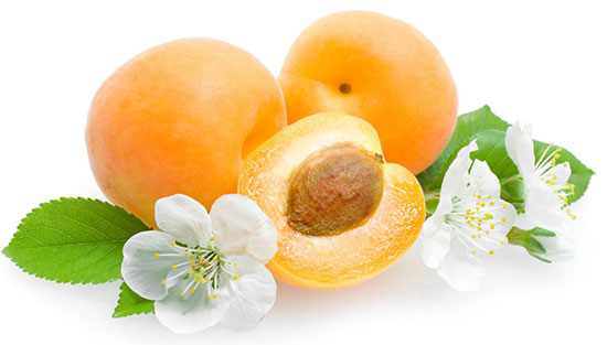 خواص زردآلو : Apricot