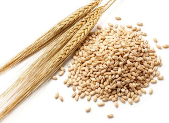 ╪о┘И╪з╪╡ ╪м┘И Barley