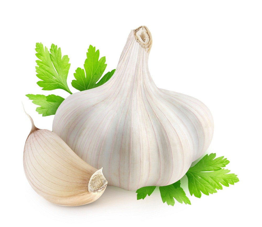 خواص درمانی و غذایی  سير :Garlic