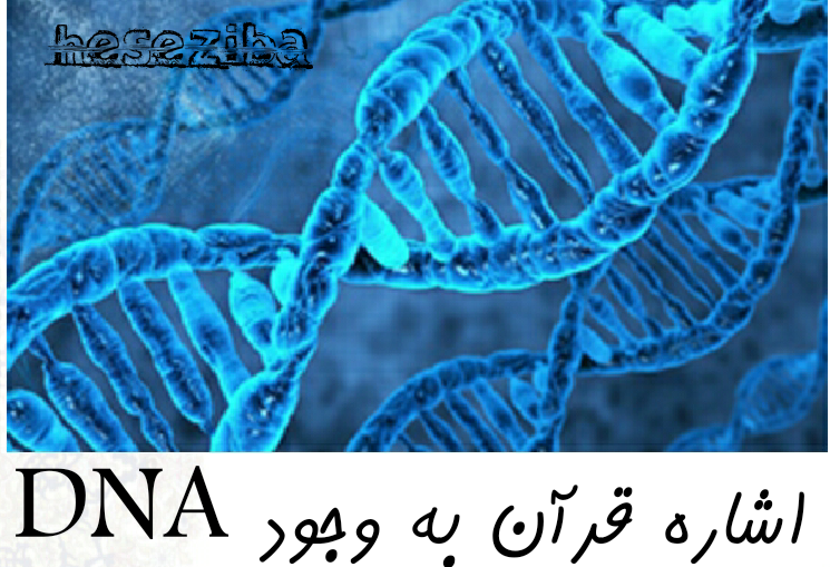 اشاره قرآن به وجود DNA