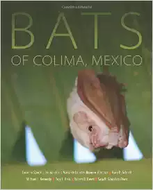 Bats of Colima, Mexico
