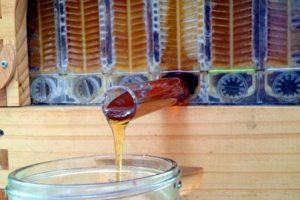 ساخت دستگاه برداشت راحت عسل (+عکس)