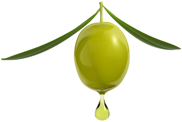 زیتون :Olive اطلاعات کامل و خواص دارویی و غذایی و...