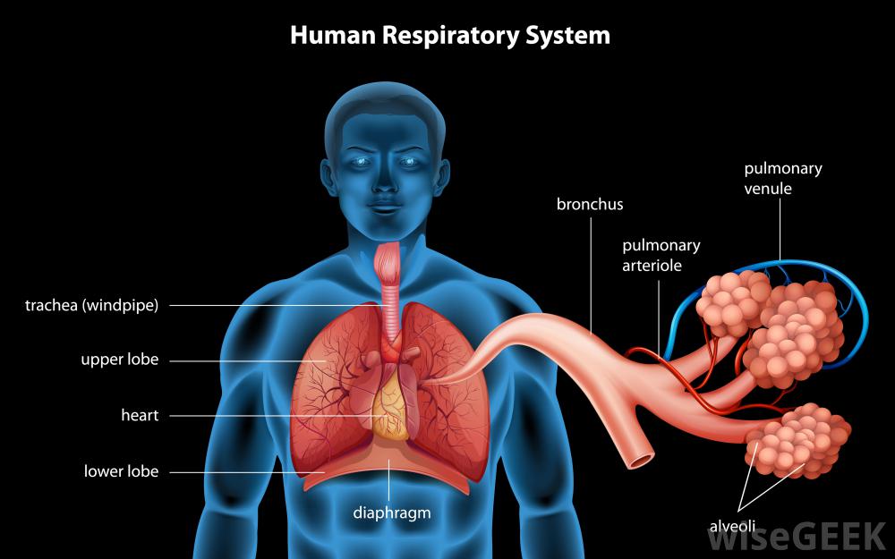 ادم ریه : pulmonary edema شرح بیماری و علل و...
