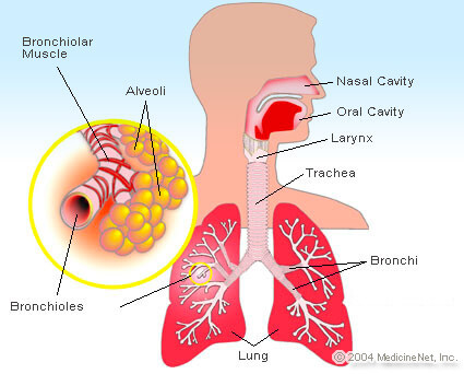 اِدِمِ ریه (به انگلیسی: Pulmonary edema) به معنی تجمع آب میان بافتی در ریه می‌باشد
