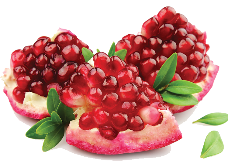 انار   Pomegranate  نام علمی   Punica