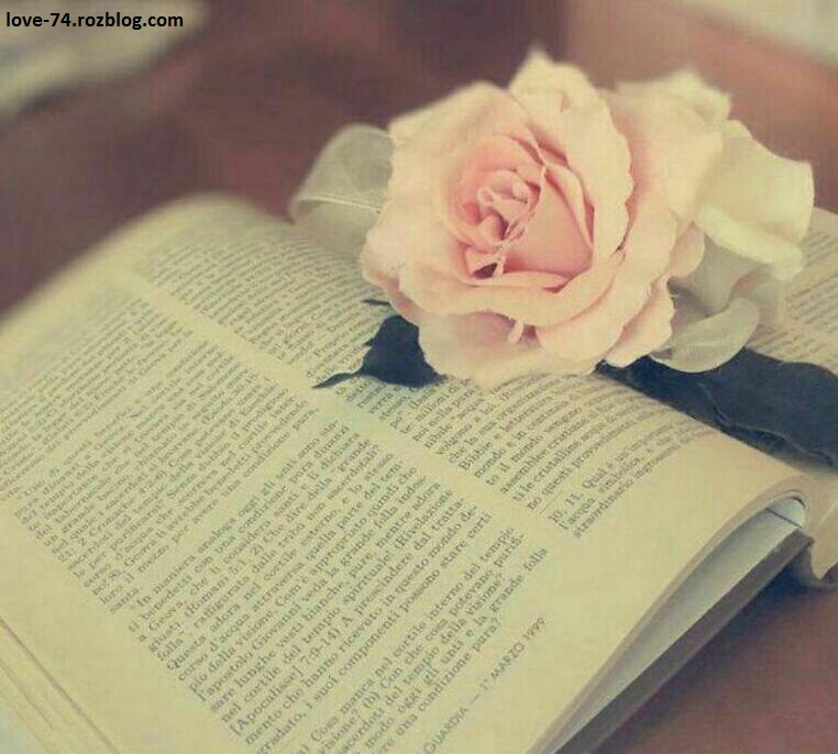عکس عاشقانه گل و کتاب
