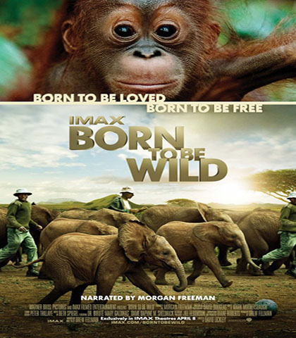 دانلود رایگان مستند متولد حیاط وحش IMAX: Born to Be Wild 2011