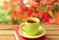 7 چای و دمنوش پاییزی که سلامتی بدن تان را تضمین می کنند