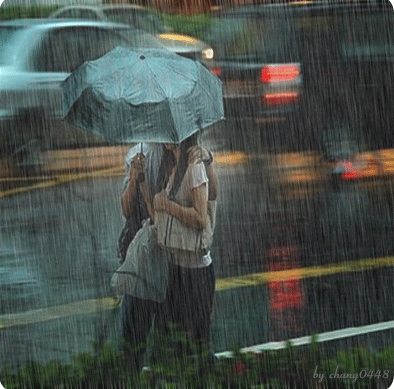 عكس عاشقانه يك زوج در زير يك چتر در باران