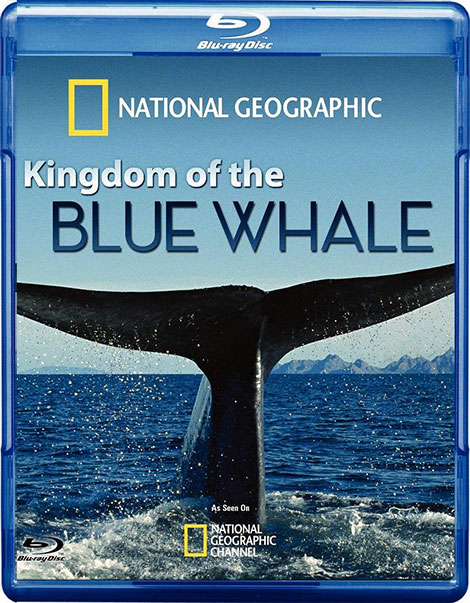 دانلود مستند قلمرو نهنگ آبی Kingdom of the Blue Whale 2009