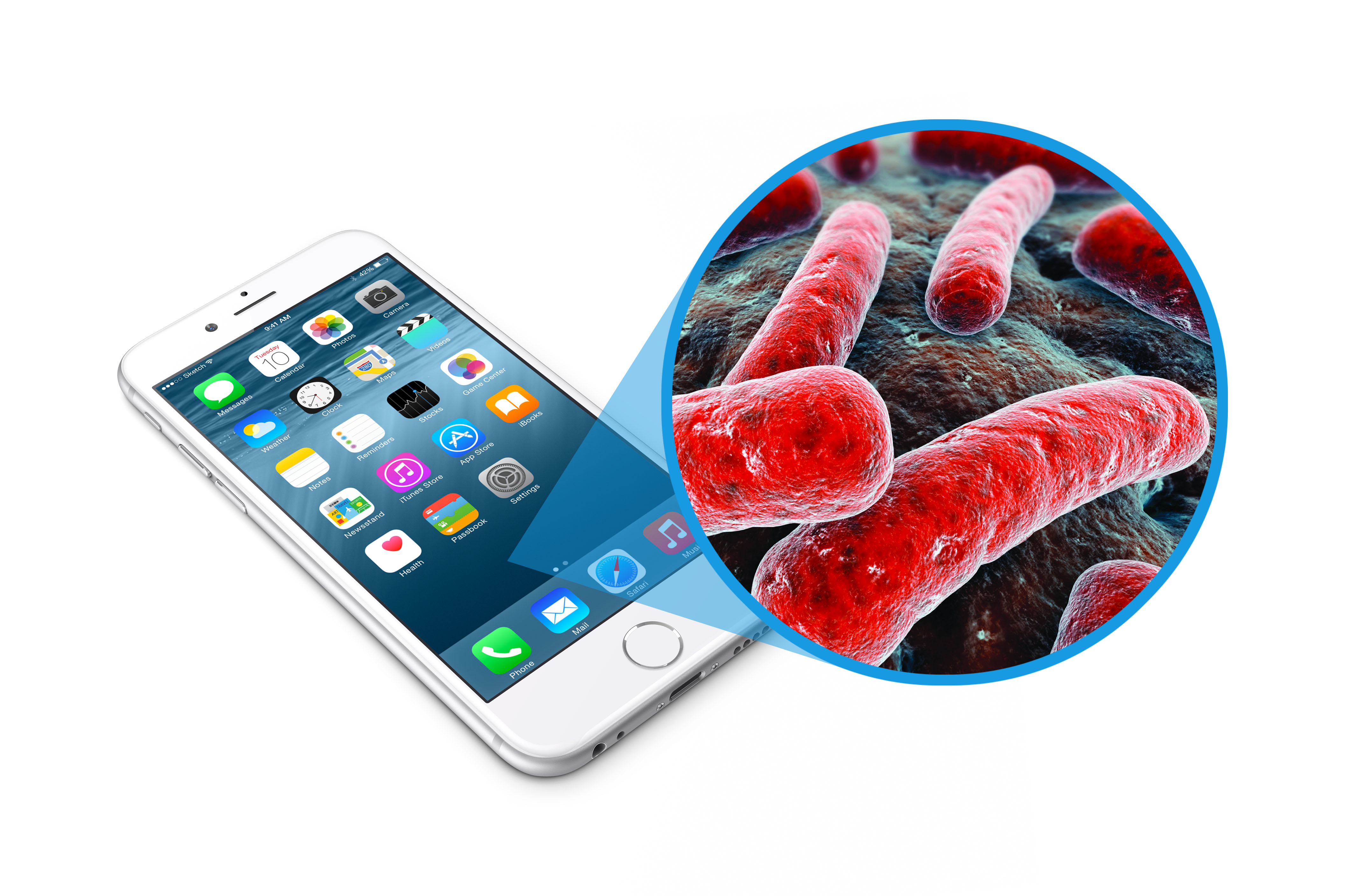 تلفن همراه شما  انواع باکتری‌ها را نیز در خود دارد