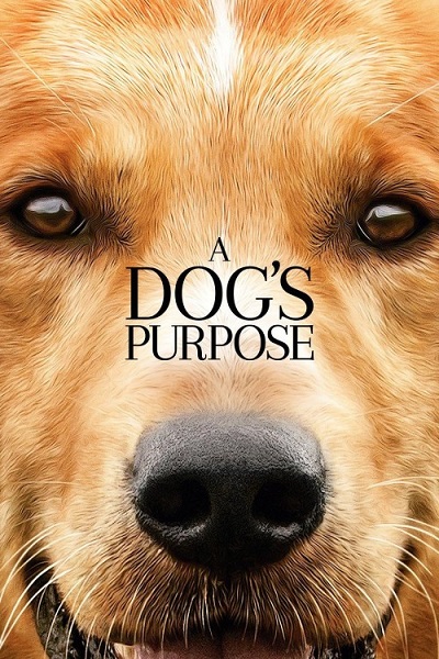 دانلود فیلم A Dog’s Purpose 2017