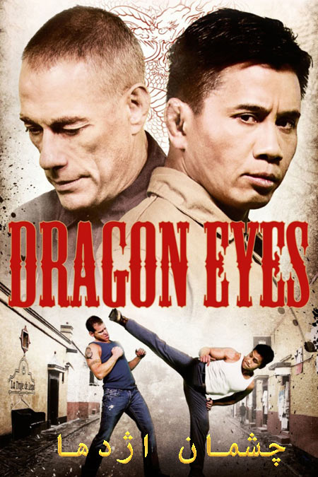 دانلود فیلم چشمان اژدها دوبله فارسی Dragon Eyes 2012
