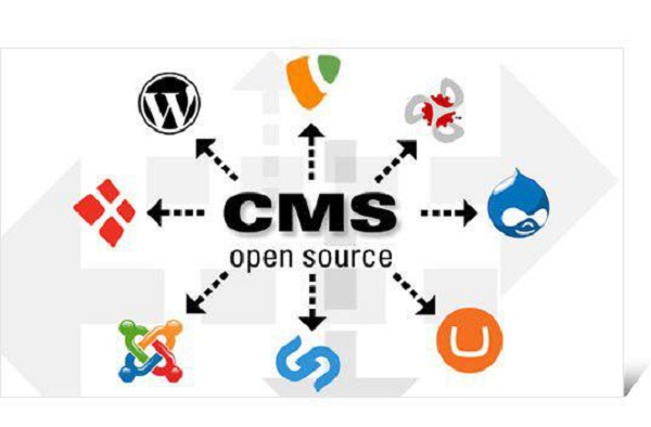 cms و مزایای طراحی سایت با cms