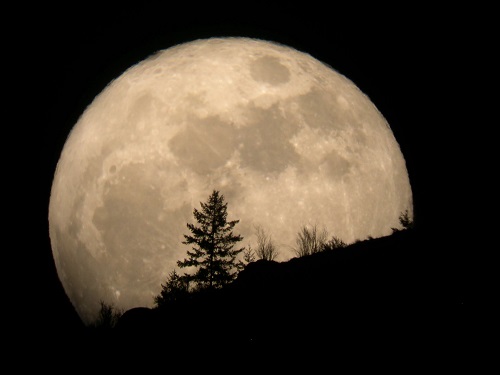 سلام بر ماه بدر...