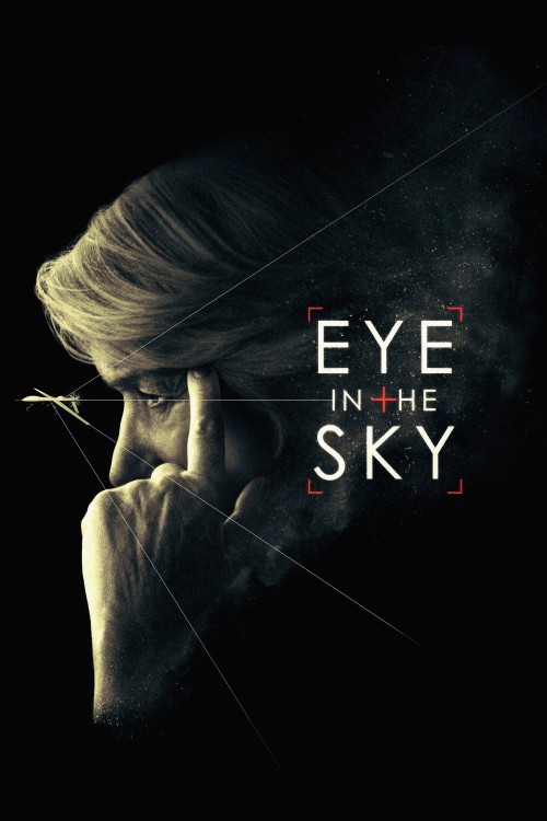 دانلود دوبله فارسی فیلم چشمی در آسمان Eye in the Sky 2015