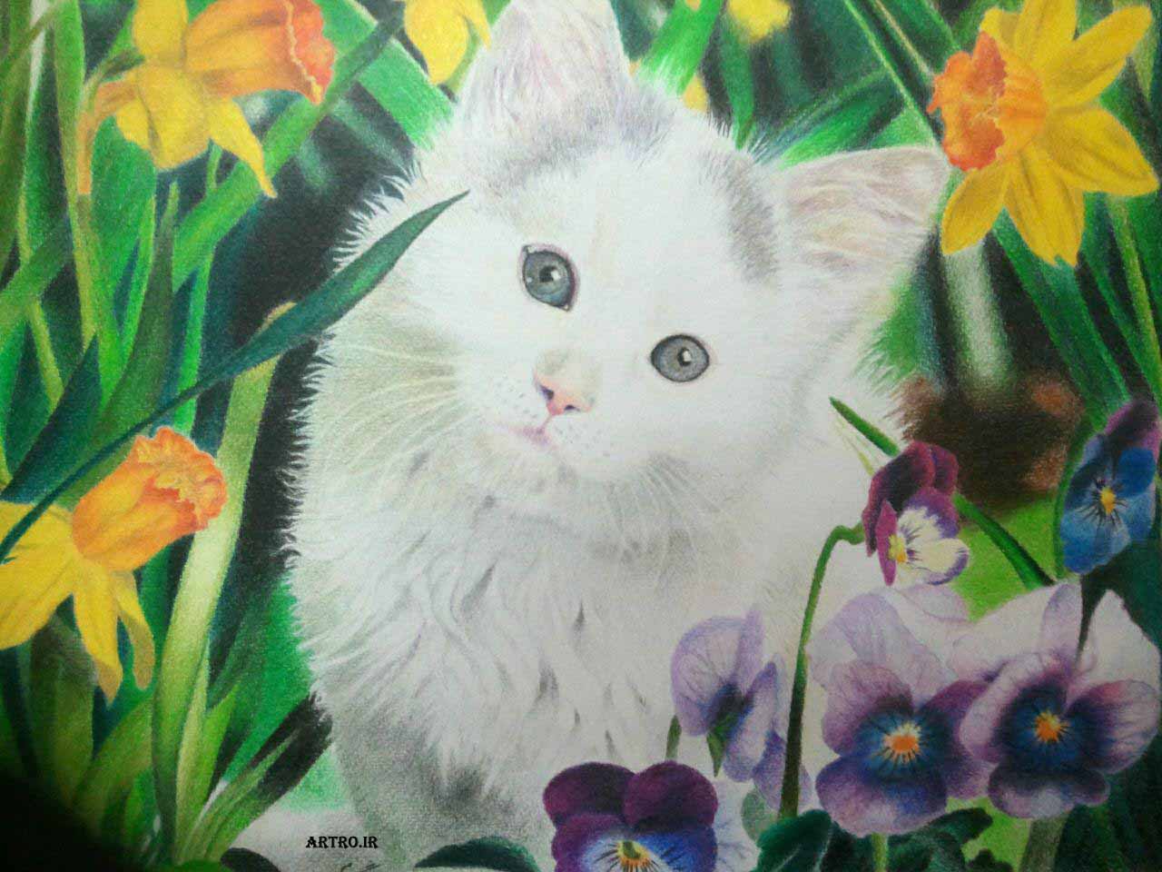 مدل نقاشی مداد رنگی گربه